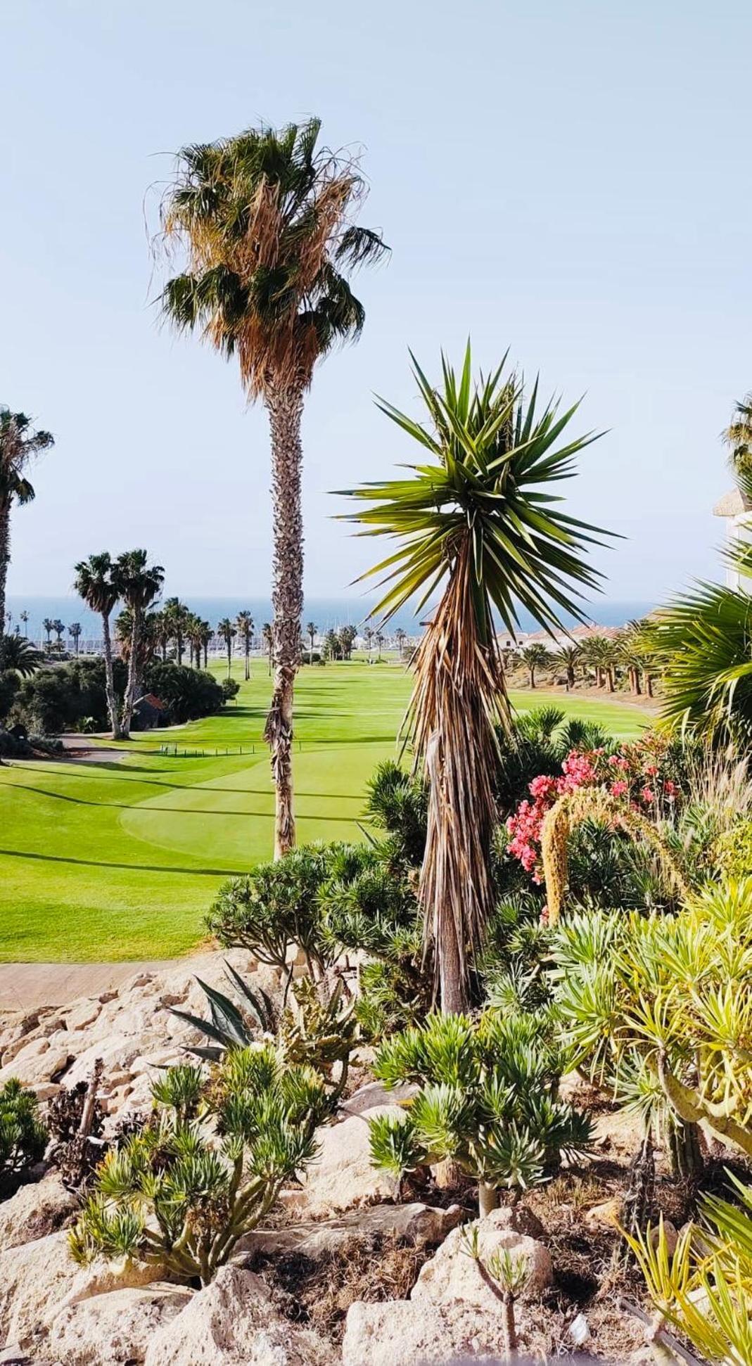 Апартаменты Amarilla Golf Сан Мигель Экстерьер фото